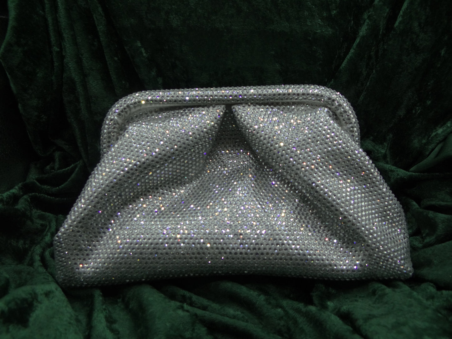 Purse Pouch