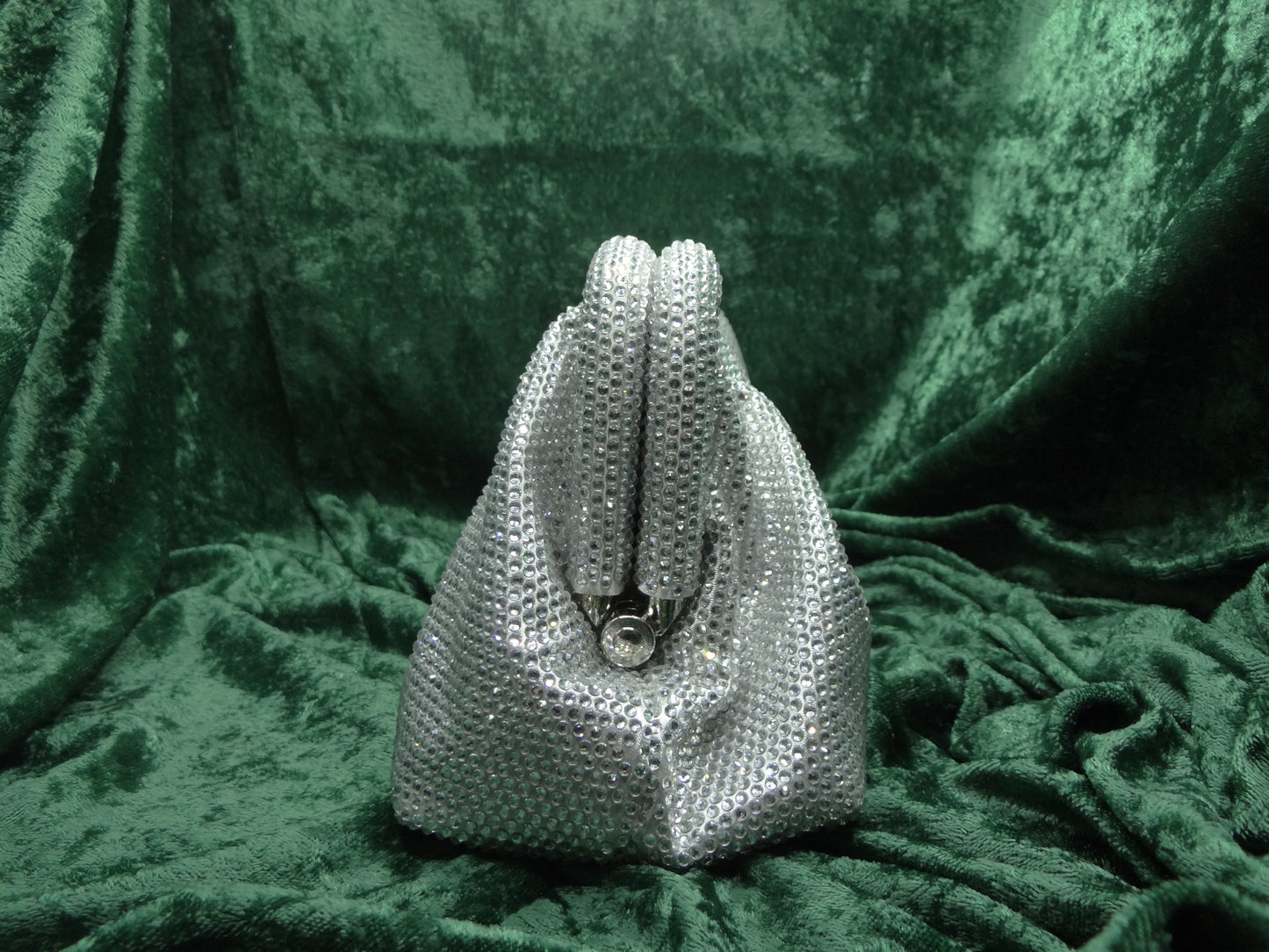 Purse Pouch