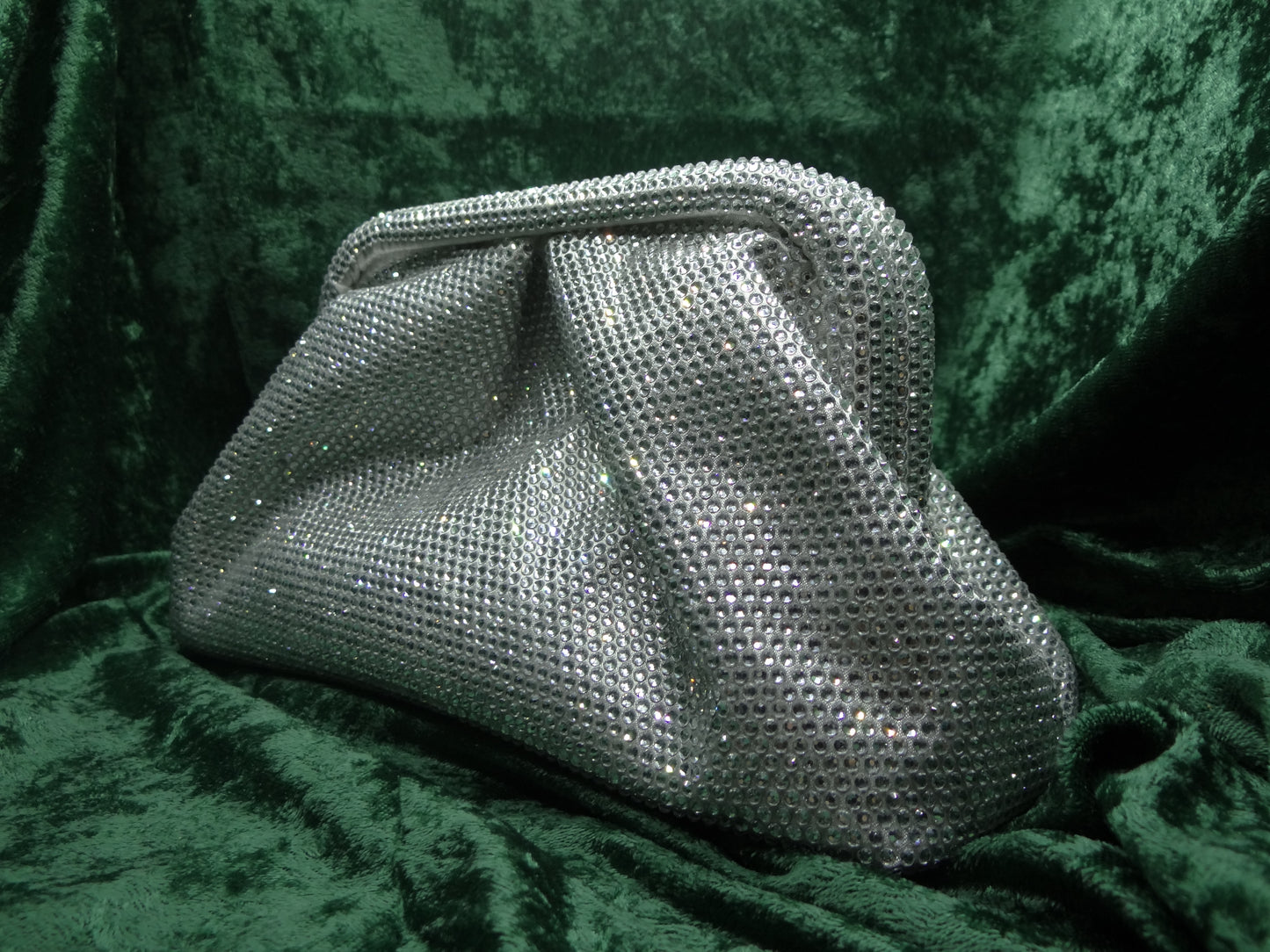 Purse Pouch