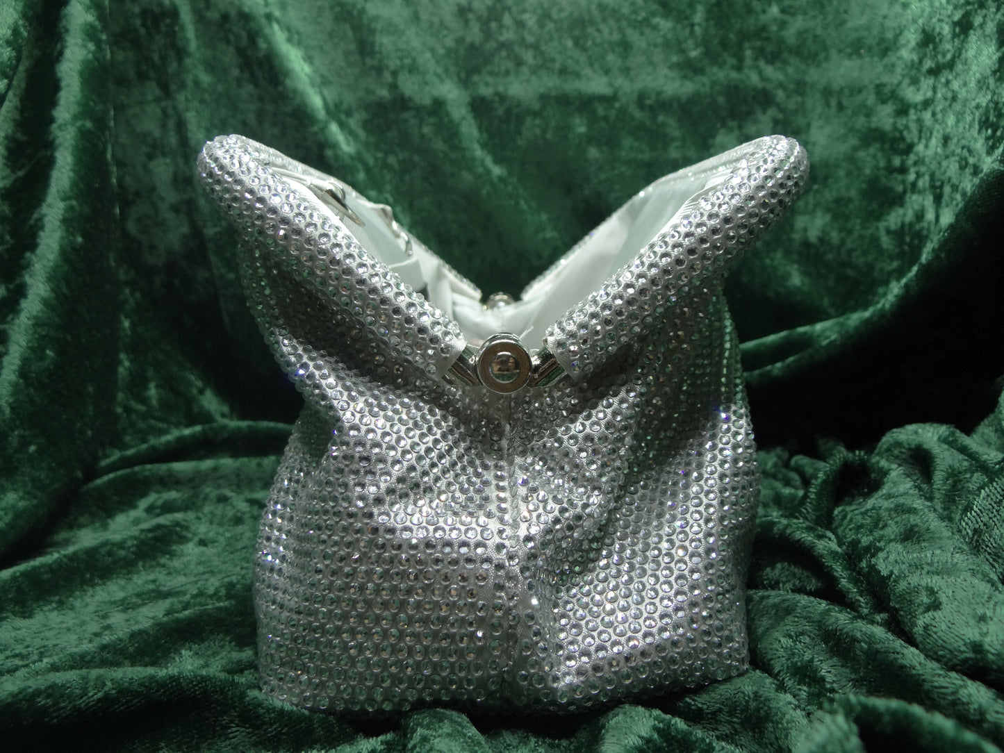 Purse Pouch